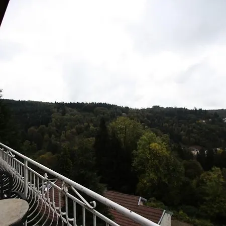 شقة 2 Pieces 4 Pers Vue Sur La Vallee 75981 Plombières-les-Bains
